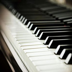 大美女🐻100%露出奶头
