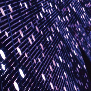 大美女🐻100%露出奶头
