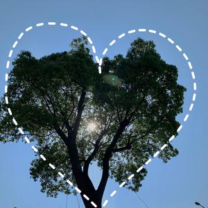 大美女🐻100%露出奶头
